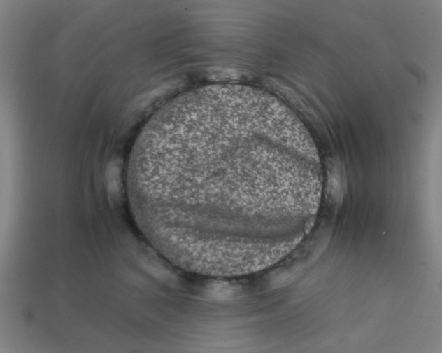 X0000113240616200910081259