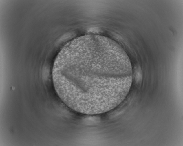 X0000113240619200910081259