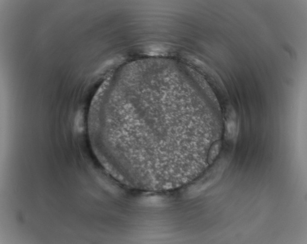 X0000113240620200910081259