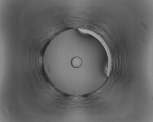 X0000113240621200910081259