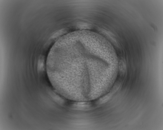 X0000113240622200910081259
