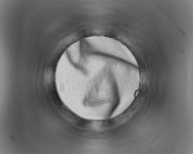 X0000113240623200910081259