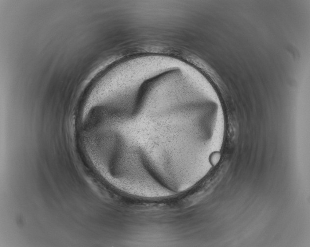 X0000113240626200910081258