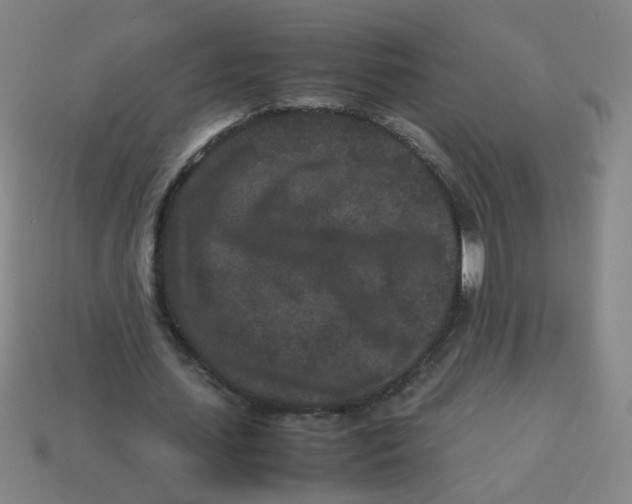 X0000113240627200910081258