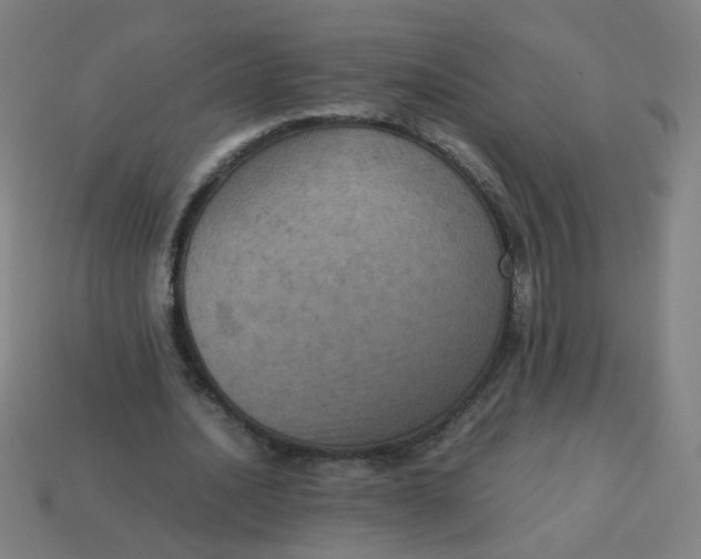 X0000113240628200910081258