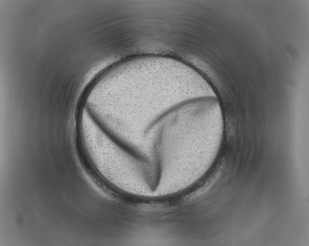 X0000113240630200910081258