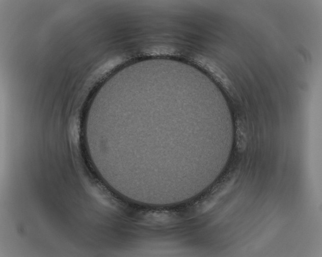 X0000113240631200910081258