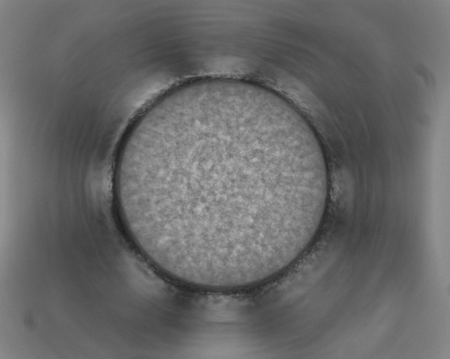 X0000113240632200910081258