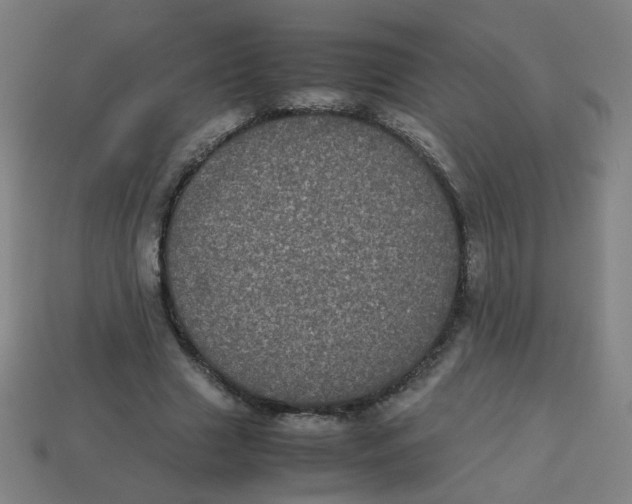 X0000113240633200910081258