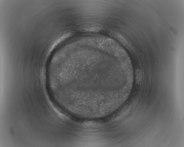 X0000113240634200910081258