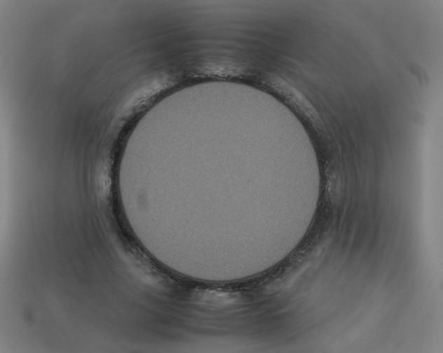 X0000113240635200910081258