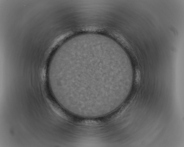 X0000113240636200910081258