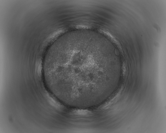 X0000113240637200910081258