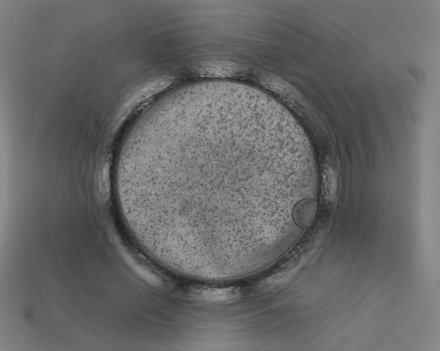 X0000113240638200910081258