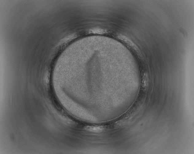 X0000113240639200910081258