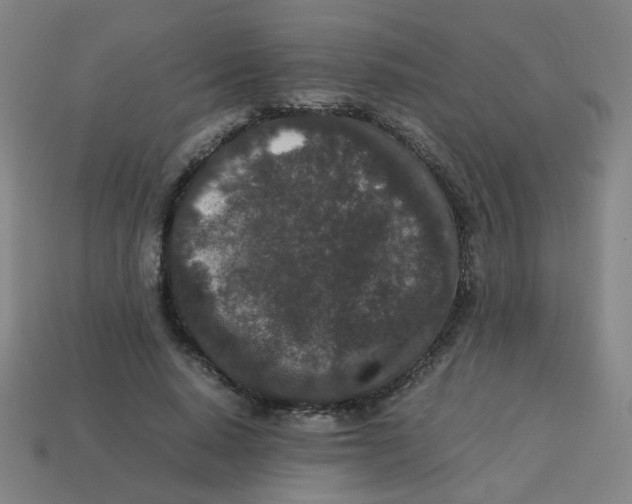 X0000113240640200910081258