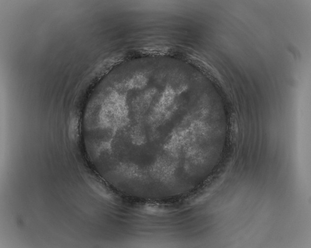 X0000113240641200910081258