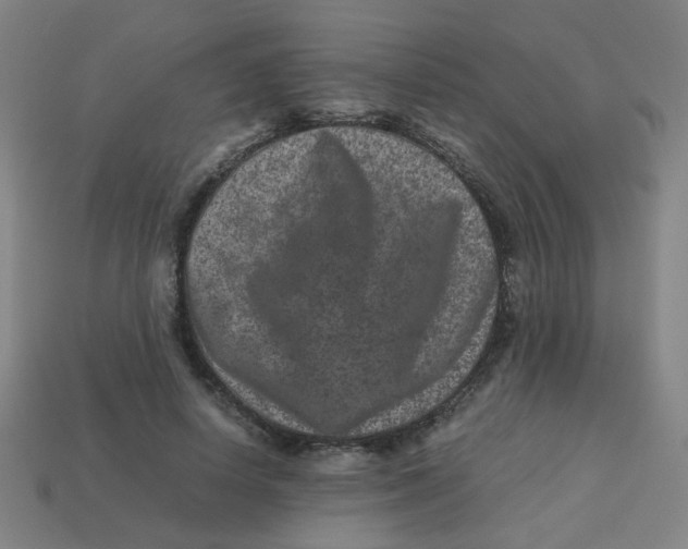 X0000113240642200910081259