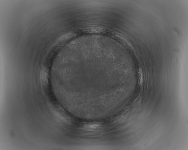 X0000113240643200910081259