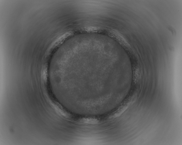 X0000113240644200910081259