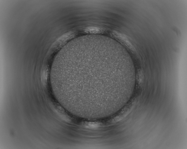 X0000113240645200910081259