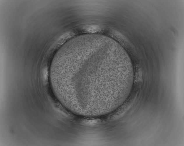 X0000113240646200910081259