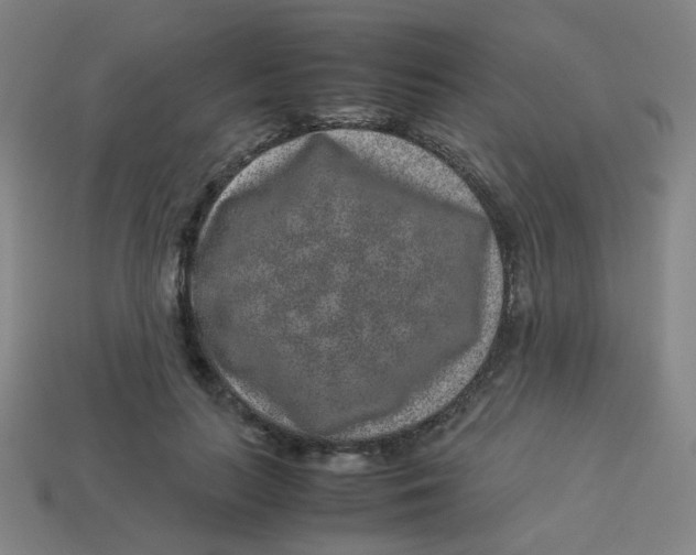 X0000113240647200910081259