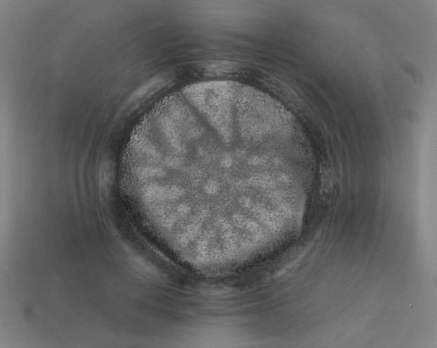 X0000113240648200910081259