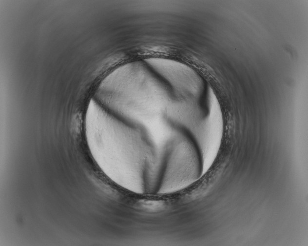 X0000113240649200910081259