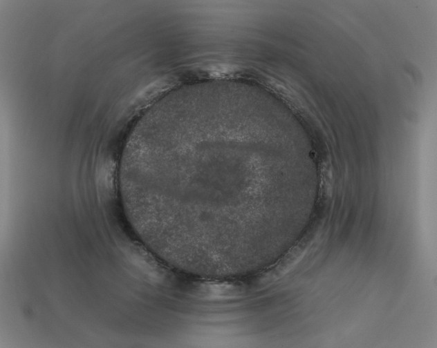 X0000113240650200910081259