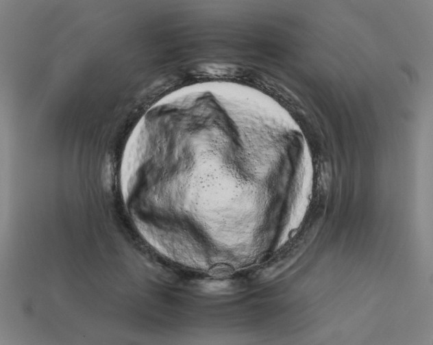 X0000113240651200910081259