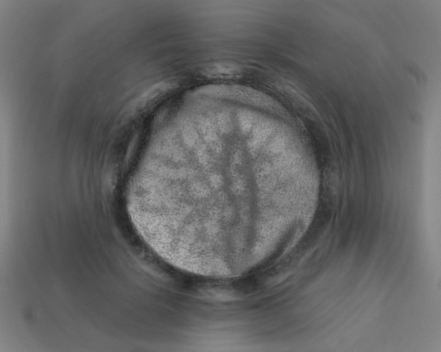 X0000113240652200910081259
