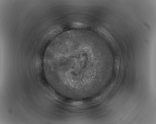 X0000113240653200910081259