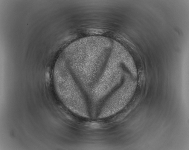 X0000113240655200910081259
