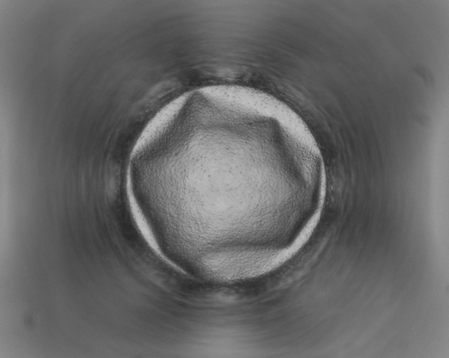 X0000113240656200910081259