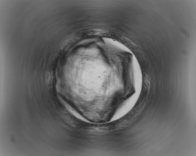 X0000113240657200910081259
