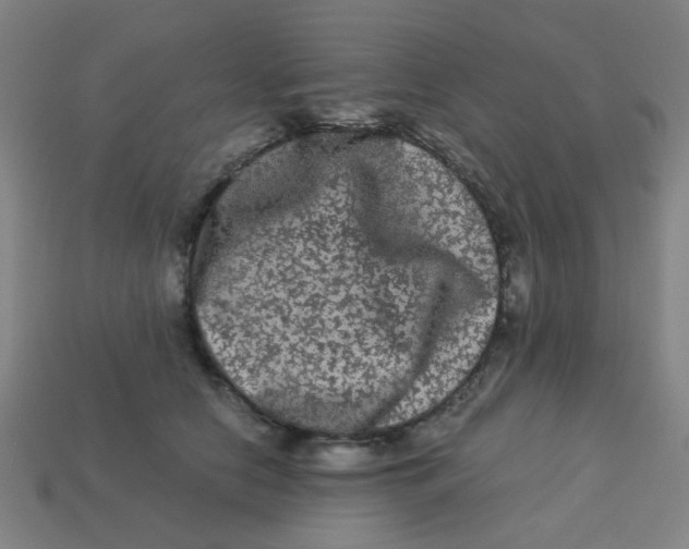 X0000113240658200910081259