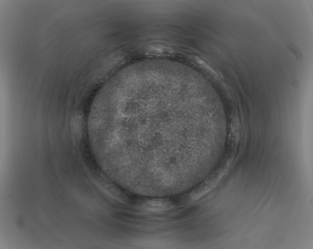 X0000113240659200910081259