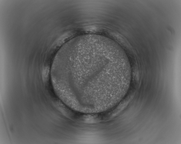 X0000113240660200910081259