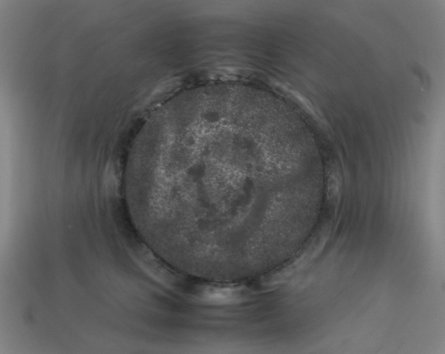 X0000113240661200910081259
