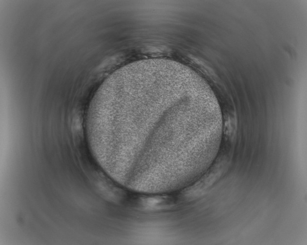 X0000113240662200910081259