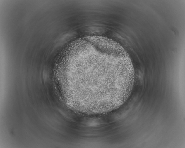 X0000113240663200910081259