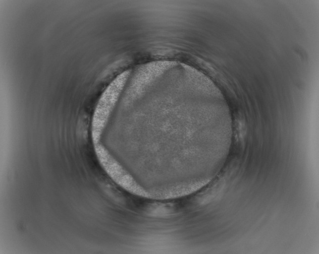 X0000113240664200910081259