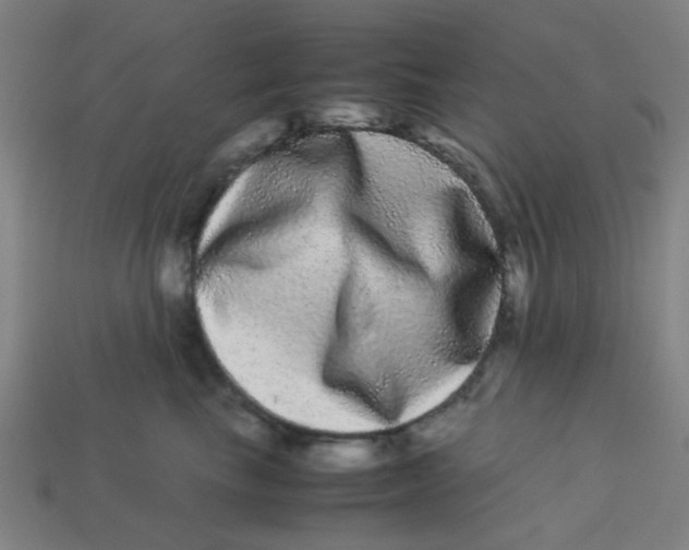 X0000113240665200910081259