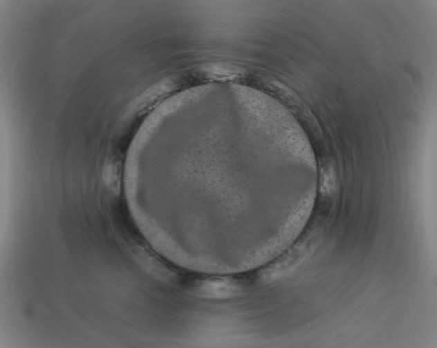 X0000113240666200910081259