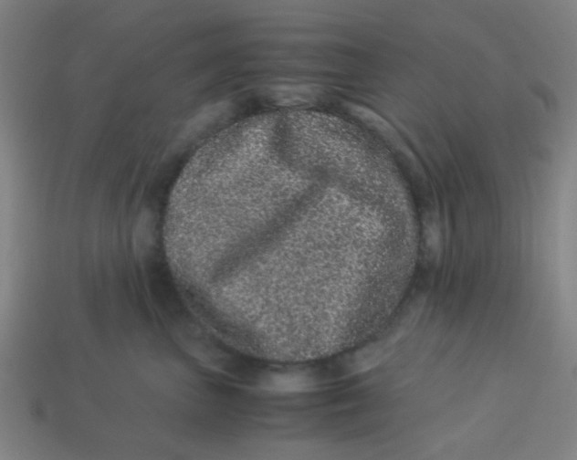 X0000113240667200910081259