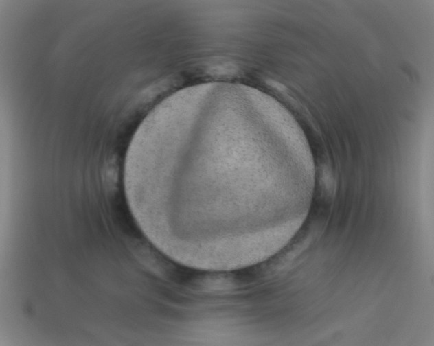 X0000113240668200910081259