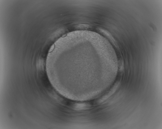 X0000113240669200910081259