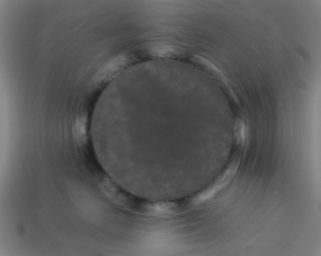 X0000113240670200910081259