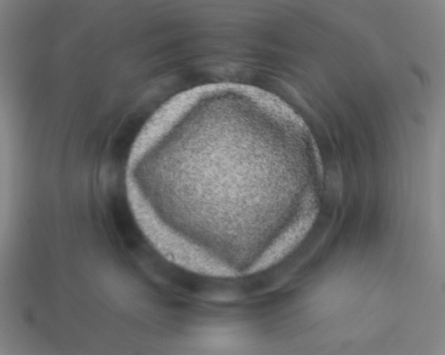 X0000113240671200910081259